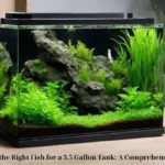 Choosing the Right Fish for a 3.5 Gallon Tank: A Comprehensive Guide