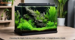 Choosing the Right Fish for a 3.5 Gallon Tank: A Comprehensive Guide