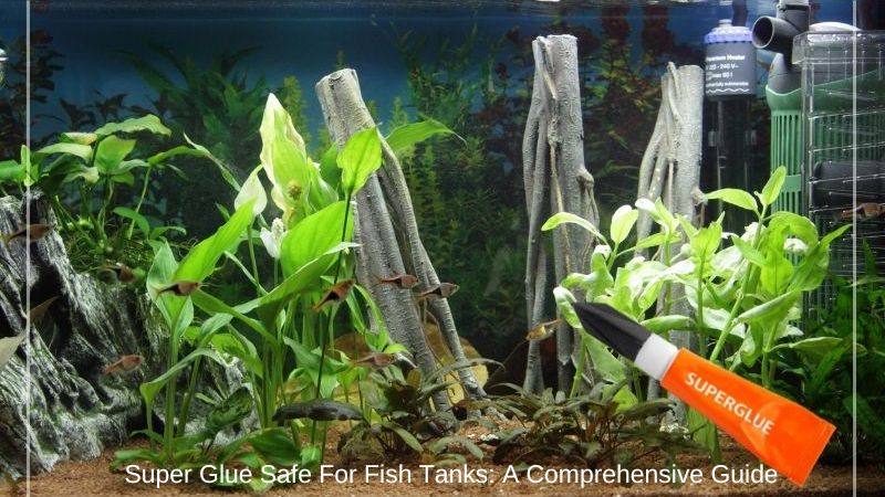 Super Glue Safe For Fish Tanks: A Comprehensive Guide