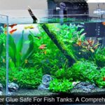 Super Glue Safe For Fish Tanks: A Comprehensive Guide