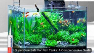 Super Glue Safe For Fish Tanks: A Comprehensive Guide