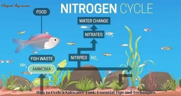 How to Cycle a Saltwater Tank: Essential Tips and Techniques