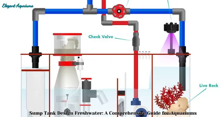 Sump Tank Design Freshwater: A Comprehensive Guide for Aquariums