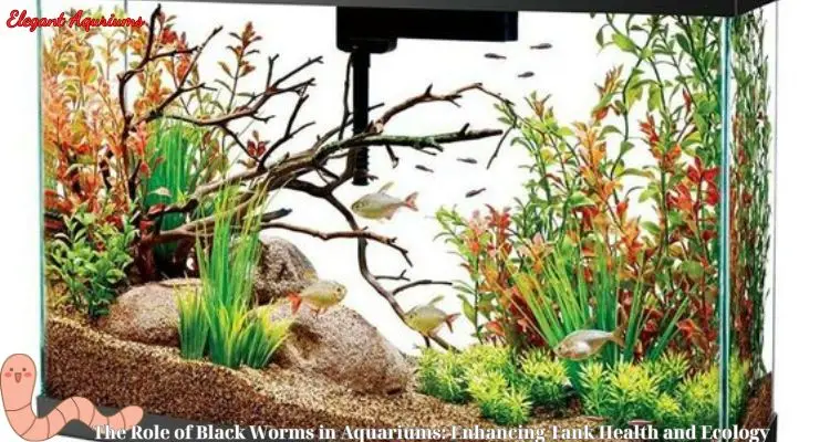 The Role of Black Worms in Aquariums: Enhancing Tank Health and Ecology