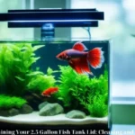 Maintaining Your 2.5 Gallon Fish Tank Lid: Cleaning and Care Tips