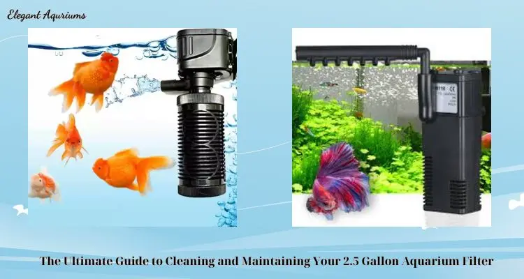 The Ultimate Guide to Cleaning and Maintaining Your 2.5 Gallon Aquarium Filter