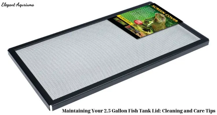 Maintaining Your 2.5 Gallon Fish Tank Lid: Cleaning and Care Tips