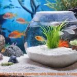 How to Set Up and Care for an Aquarium with White Sand: A Comprehensive Guide