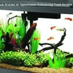 The Role of Black Worms in Aquariums: Enhancing Tank Health and Ecology