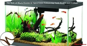 The Role of Black Worms in Aquariums: Enhancing Tank Health and Ecology