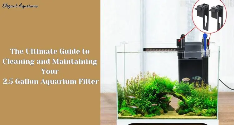 2.5 Gallon Aquarium Filter: The Ultimate Guide to Cleaning and Maintenance