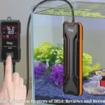 The Most Efficient Aquarium Heaters of 2024: Reviews and Recommendations