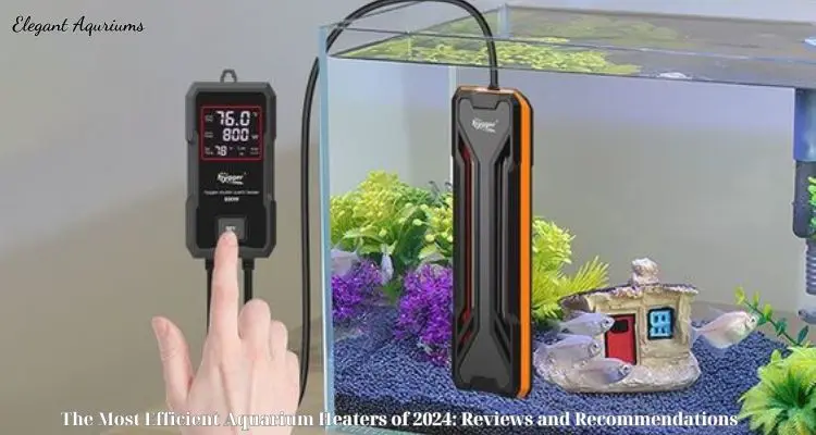 The Most Efficient Aquarium Heaters of 2024: Reviews and Recommendations