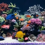 How to Cycle a Saltwater Tank: Essential Tips and Techniques