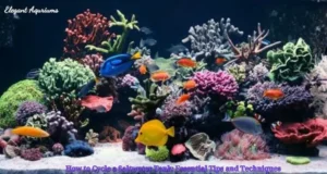 How to Cycle a Saltwater Tank: Essential Tips and Techniques